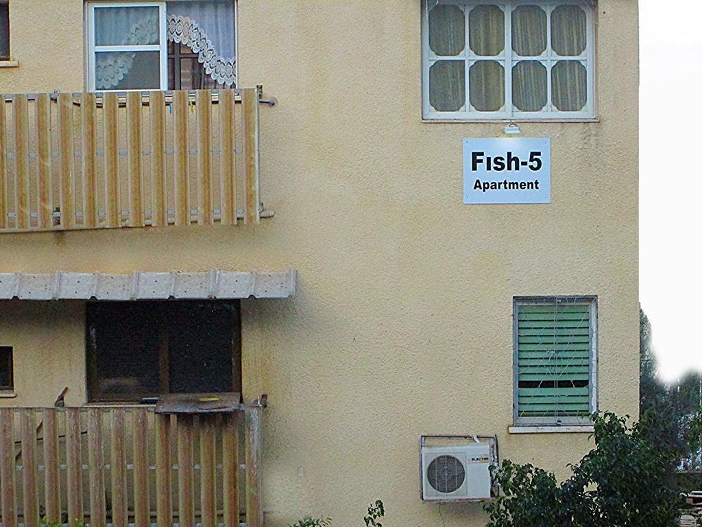Fish 5 Apartment ティベリア 部屋 写真
